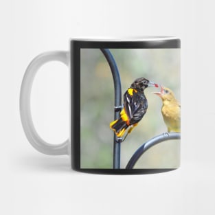 Oriole feeding fledgling.. Mug